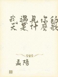 我遇见你的那一天是什么歌里的歌词