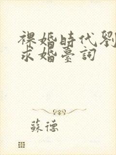 裸婚时代刘易阳求婚台词