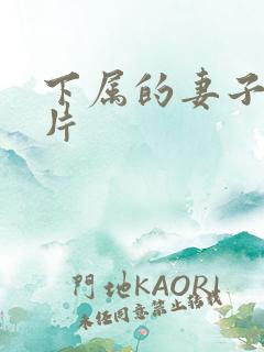 下属的妻子伦理片