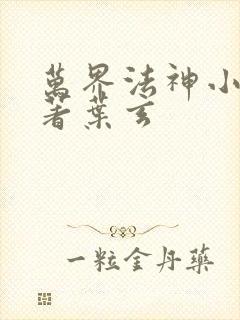 万界法神小说原著叶玄