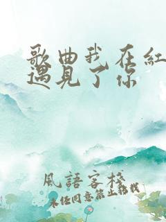 歌曲我在红尘中遇见了你