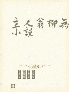 主人翁柳无邪的小说