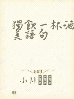 独饮一杯酒的唯美语句