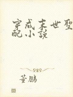 穿成末世圣母女配小说