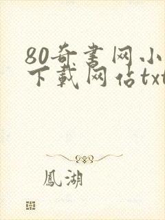 80奇书网小说下载网站txt
