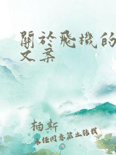 关于飞机的伤感文案