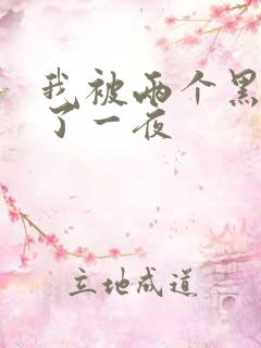 我被两个黑人做了一夜