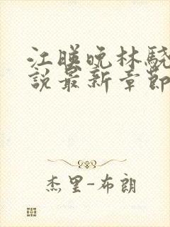 江映晚林骁然小说最新章节