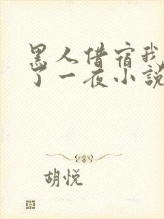 黑人借宿我被躁了一夜小说