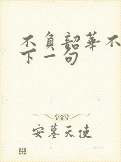 不负韶华不负卿下一句