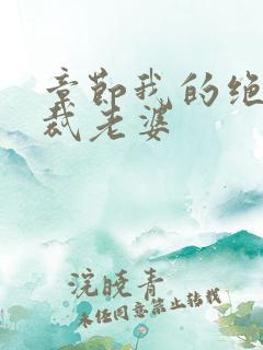 章节我的绝色总裁老婆