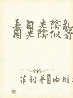 长日光阴乱作一团光阴似箭笔趣渺视频