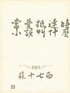 当爱抵达时原著小说叫什么