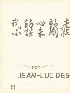 我的心动老板娘小说未删版下载