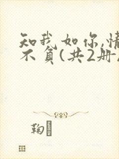 知我如你,情深不负(共2册) 小说
