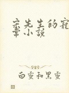 宋先生的宠妻日常小说