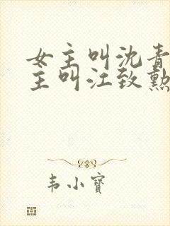 女主叫沈青青男主叫江致勋的小说