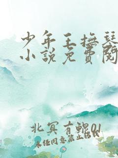 少年王抚琴的人小说免费阅读全文无删减