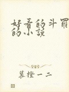 好看的斗罗同人的小说