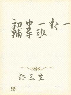 初中一对一历史辅导班