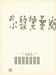 我的极品小姨 小说免费阅读