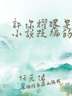 许你耀眼是哪部小说改编的