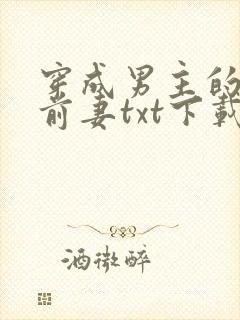 穿成男主的炮灰前妻txt下载