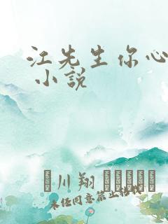 江先生你心动了 小说