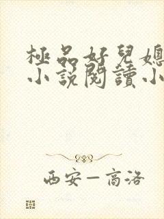 极品好儿媳沐慧小说阅读小说