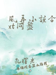 风弄小说合集txt网盘