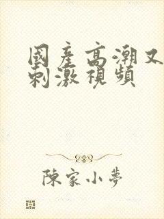 国产高潮又爽又刺激视频