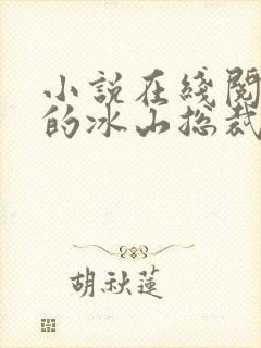 小说在线阅读我的冰山总裁老婆