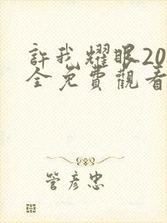 许我耀眼20集全免费观看