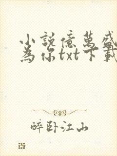 小说亿万盛宠只为你txt下载