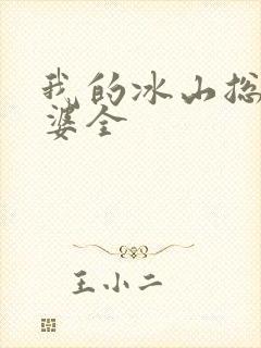 我的冰山总裁老婆全