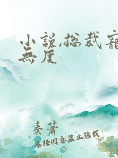 小说,总裁宠妻无度