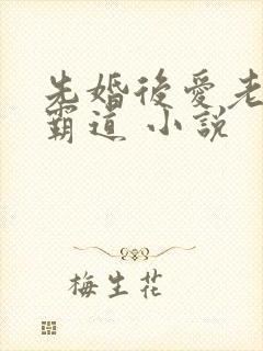 先婚后爱老公太霸道 小说