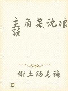 主角是沈浪的小说