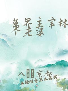 万界主宰林峰几个老婆