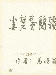 小说我的极品娇妻免费阅读全文