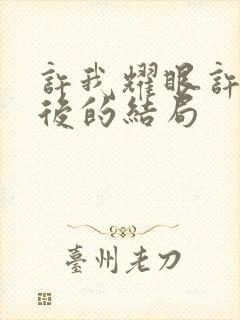 许我耀眼许妍最后的结局