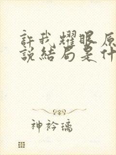 许我耀眼原著小说结局是什么