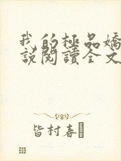 我的极品娇妻小说阅读全文