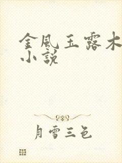 金风玉露木兮娘小说
