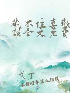 藏不住喜欢你小说全文免费阅读