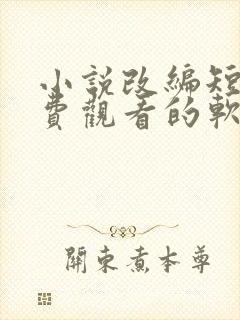 小说改编短剧免费观看的软件