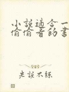 小说适合一个人偷偷看的书言情推荐完结