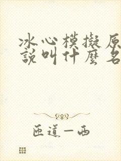 冰心模拟原著小说叫什么名字啊