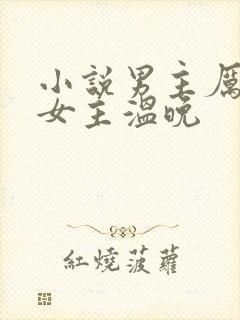 小说男主厉靳川女主温晚