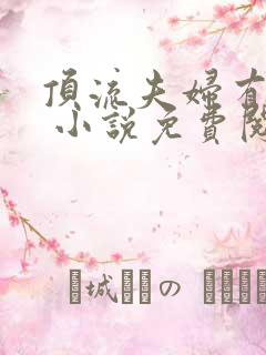 顶流夫妇有点甜 小说免费阅读txt